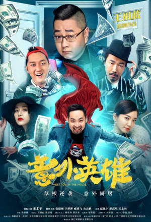 Accidental Hero (2020) 