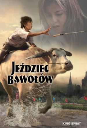Buffalo Rider 