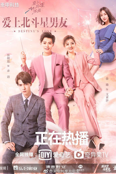 Destiny's Love (2019) 