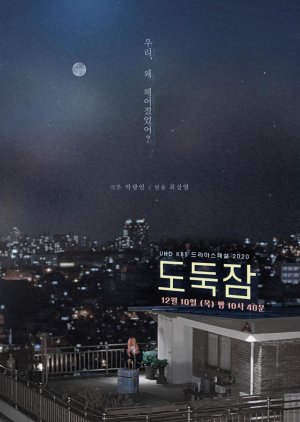 Drama Special Season 11: While You're Away 