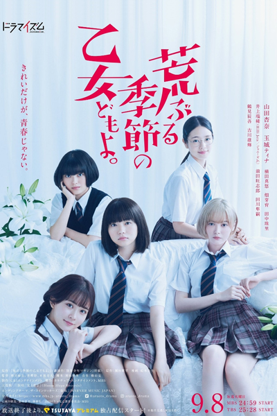Araburu Kisetsu no Otomedomo yo (2020) 