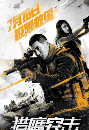 Falcon Assault (2020) 