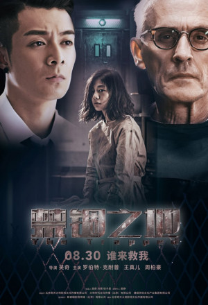 Imprisonment (2020) 