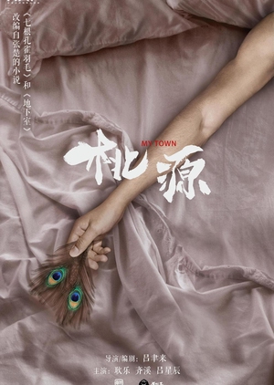 My Town (CN 2019) 