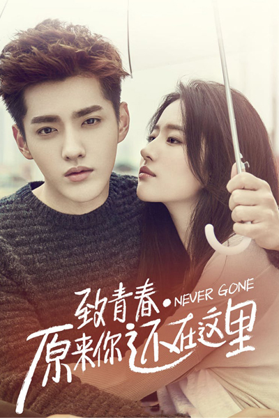 Never Gone 