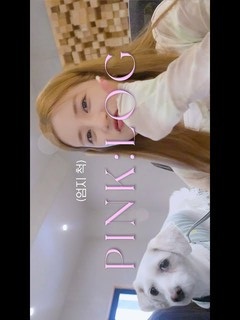 PINK:LOG (2022) 