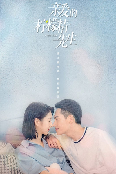 Plot Love (2021) 