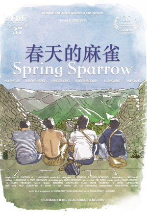 Spring Sparrow 