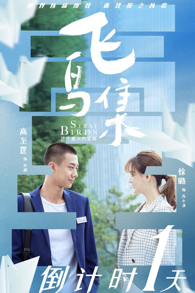 Stray Birds (2021) 