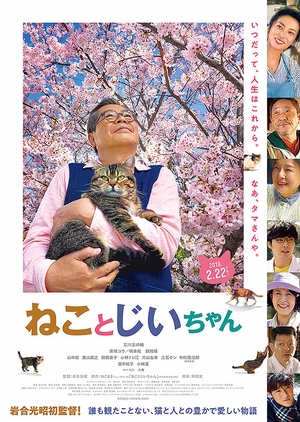 The Island of Cats 