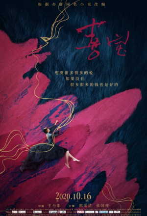 The Story Of Xi Bao (2020) 
