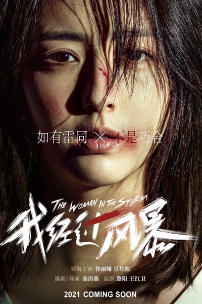 The Woman in the Storm (2023) 
