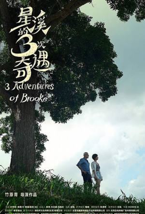 Three Adventures of Brooke 