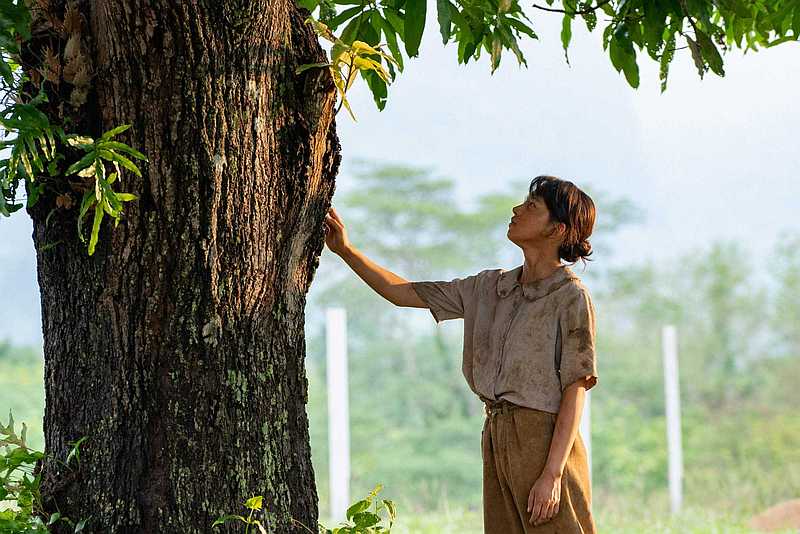 Under the Mango Tree SP 